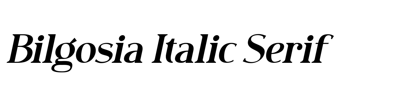 Bilgosia Italic Serif